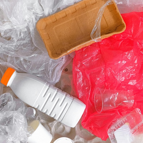 novo decreto lei 24/2024